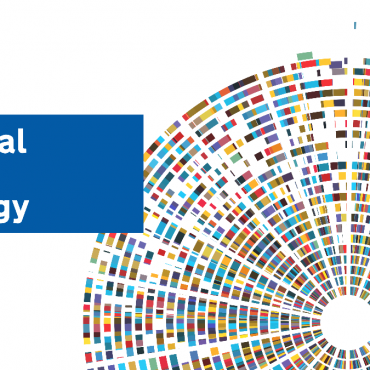 National Data Strategy